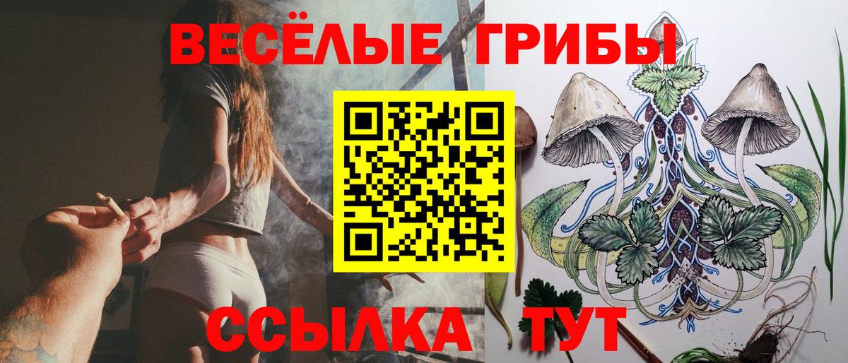 Псилоцибиновые грибы ЛСД Сердобск
