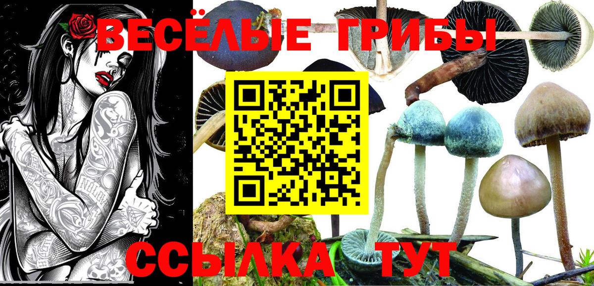 как найти наркотики  Галлюциногенные грибы мухоморы  Вход с VPN  Сердобск 